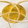 Glen Lampa Sufitowa LED Złoty, 1-punktowy, Zdalne sterowanie