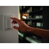 Philips Hue Ambiance White Milliskin opraw podynkowy rozszerzenie Srebrny, 1-punktowy, Zdalne sterowanie