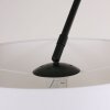 Steinhauer Lilac Lampa Stojąca Czarny, 1-punktowy