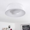 Fremont Lampa Sufitowa LED Biały, 1-punktowy, Zdalne sterowanie
