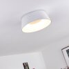 Fremont Lampa Sufitowa LED Biały, 1-punktowy, Zdalne sterowanie