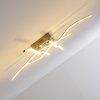 Mapleton lampa sufitowa LED Nikiel matowy, 4-punktowe