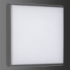 Lampa Sufitowa zewnętrzna LCD TYP 5061 LED Czarny, 1-punktowy