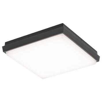 Lampa Sufitowa zewnętrzna LCD TYP 5061 LED Czarny, 1-punktowy