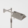 Steinhauer MEXLITE lampa stojąca LED Stal nierdzewna, 1-punktowy