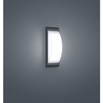 Helestra Kapo Zewnętrzny kinkiet LED Szary, 1-punktowy