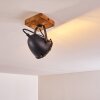 Malix Lampa Sufitowa Brązowy, Czarny, 1-punktowy