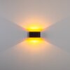 Dapp Lampa ścienna Złoty, Czarny, 1-punktowy