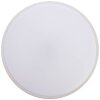 Lampa Sufitowa Brilliant Jamil LED Srebrny, Biały, 1-punktowy, Zdalne sterowanie