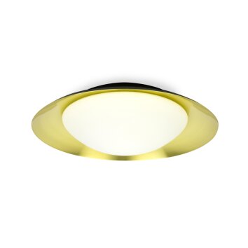 Faro Barcelona Side Lampa Sufitowa LED Złoty, Czarny, 1-punktowy
