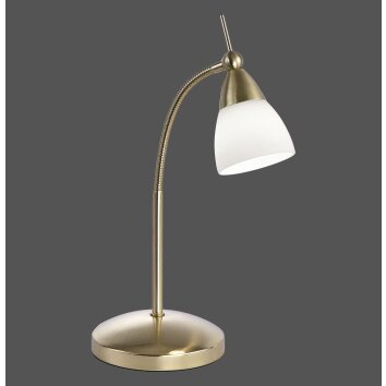 Paul Neuhaus PINO Lampa stołowa LED Mosiądz, 1-punktowy