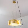 Novara lampa wisząca Złoty, 3-punktowe