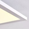 Salmi Lampa Sufitowa LED Biały, 1-punktowy, Zdalne sterowanie, Zmieniacz kolorów