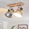 Orny Lampa Sufitowa Brązowy, Ocynkowany, 2-punktowe