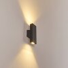 Roseau Lampa ścienna LED Antracytowy, 1-punktowy
