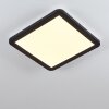 Siguna Lampa Sufitowa LED Czarny, Biały, 1-punktowy