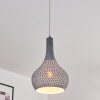 Alenhoven Lampa Wisząca Szary, 1-punktowy