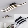 Letala Lampa Sufitowa LED Czarny, 3-punktowe