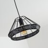 Awali Lampa Wisząca czarny, 1-punktowy