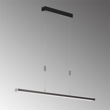 Fischer & Honsel  Vitan TW Lampa Wisząca LED Czarny, 1-punktowy