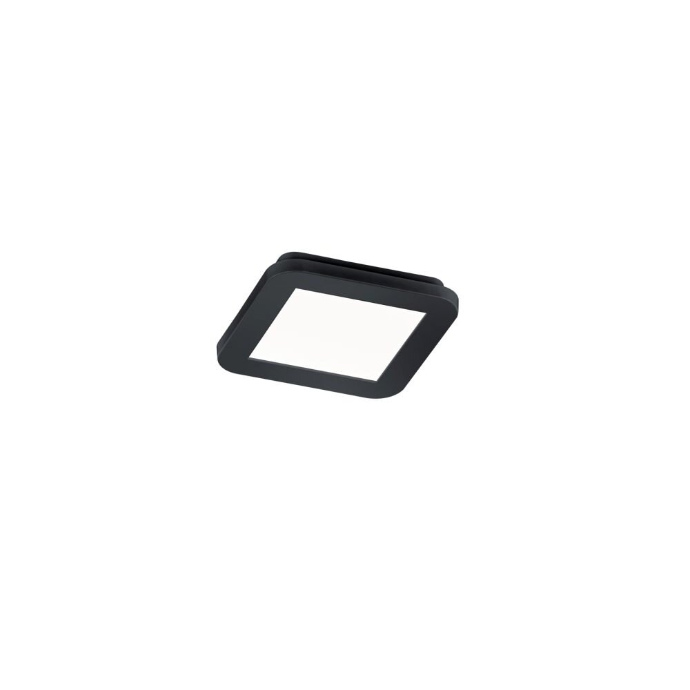 Lampa Sufitowa Reality CAMILLUS LED Czarny, 1-punktowy main product photo