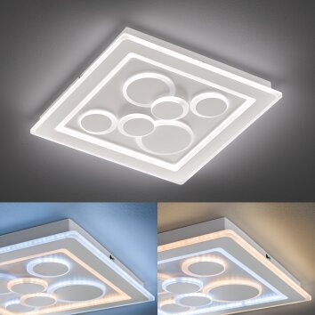 Fischer & Honsel  Ratio Lampa Sufitowa LED Biały, 1-punktowy, Zdalne sterowanie