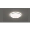 Fischer & Honsel  Jaso Lampa Sufitowa LED Srebrny, 1-punktowy