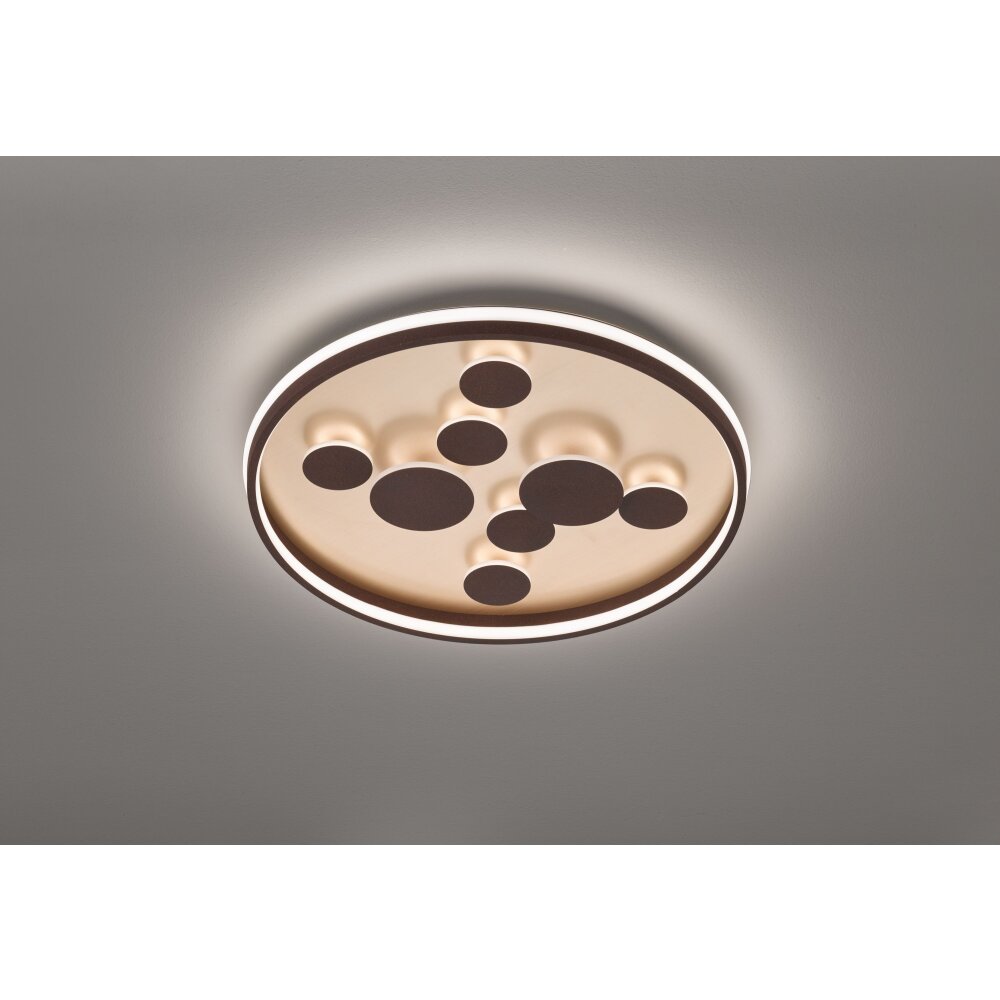 Fischer & Honsel Rico Lampa Sufitowa LED Brązowy, 1-punktowy main product photo