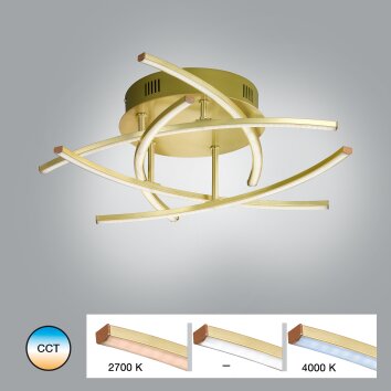Fischer & Honsel  Cross TW Lampa Sufitowa LED Mosiądz, 5-punktowe, Zdalne sterowanie