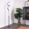 Pitasch Lampa Stojąca LED Czarny, 1-punktowy