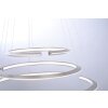 Paul Neuhaus ALESSA Lampa Wisząca LED Srebrny, 3-punktowe, Zdalne sterowanie