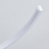Guinea Lampa Sufitowa LED Biały, 2-punktowe