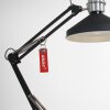 Steinhauer Zappa Lampa stołowa Czarny, 1-punktowy