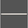 Paul Neuhaus AMON Oświetlenie podszafkowe LED Srebrny, 1-punktowy, Czujnik ruchu
