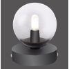Paul Neuhaus WIDOW lampka nocna LED Nikiel matowy, Czarny, 1-punktowy