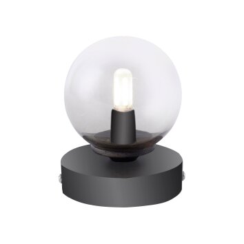 Paul Neuhaus WIDOW lampka nocna LED Nikiel matowy, Czarny, 1-punktowy