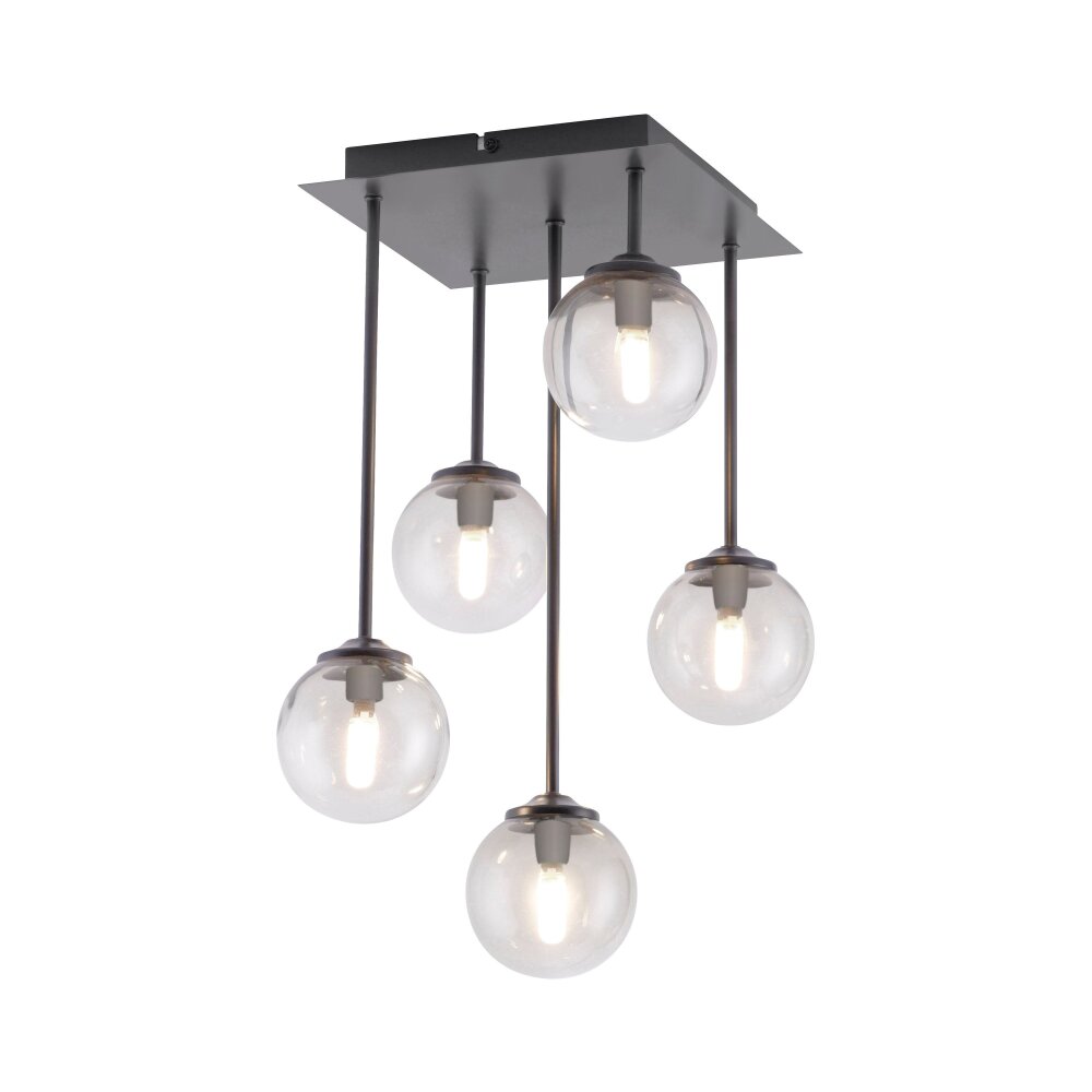 Paul Neuhaus WIDOW Lampa Sufitowa LED Czarny, 5-punktowe main product photo