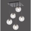 Paul Neuhaus WIDOW Lampa Sufitowa LED Czarny, 5-punktowe