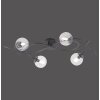 Paul Neuhaus WIDOW Lampa Sufitowa LED Czarny, 4-punktowe