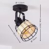 Recinto Lampa Sufitowa Czarny, 1-punktowy