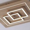 Paul Neuhaus Q-LINEA Lampa Sufitowa LED Jasne drewno, 4-punktowe, Zdalne sterowanie