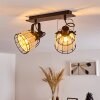 Recinto Lampa Sufitowa Czarny, 2-punktowe