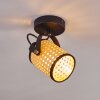 Broekerhaven Lampa Sufitowa Czarny, 1-punktowy