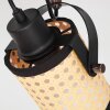 Broekerhaven Lampa Sufitowa Czarny, 1-punktowy