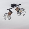 Koler Lampa Sufitowa Czarny, 2-punktowe