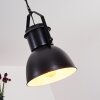 Fieberbrunn Lampa Wisząca Czarny, 1-punktowy Fieberbrunn Lampa Wisząca Czarny, 1-punktowy