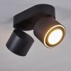 Appleton Lampa Sufitowa LED Czarny, 2-punktowe