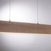 Paul Neuhaus Q-TIMBER Lampa Wisząca LED Jasne drewno, 1-punktowy, Zdalne sterowanie