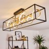 Pericos Lampa Sufitowa LED Złoty, Czarny, 4-punktowe
