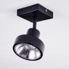 Chagres Lampa Sufitowa Czarny, 1-punktowy